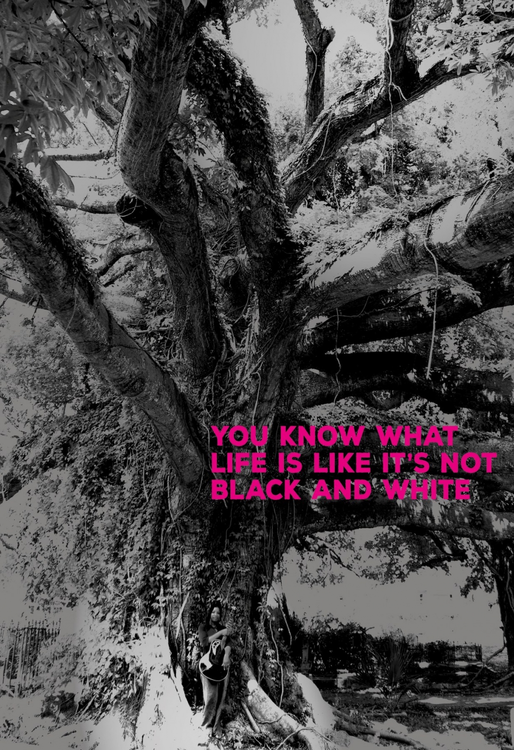 DAS LEBEN IST NICHT SCHWARZWEISS Judy Bailey Musik zwischen Fern und Heimweh